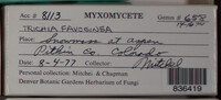 Image Associated With the Occurence
